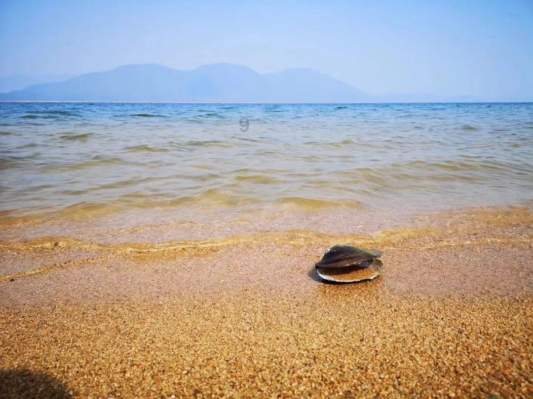 蓝蓝夏日
